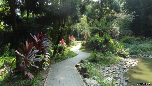 東洋別墅及植物園區附近繞一圈
