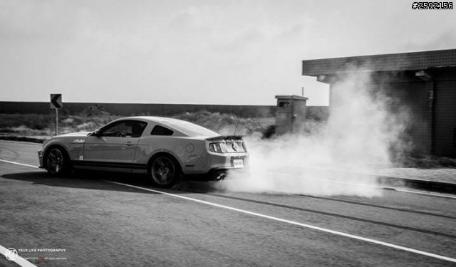正牌上路! Shelby GT500 Challenger SRT8 392!!!