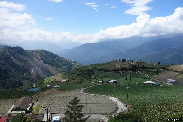 20130928 惡路上的天堂 (力行產業道路-合歡溪步道-武嶺)