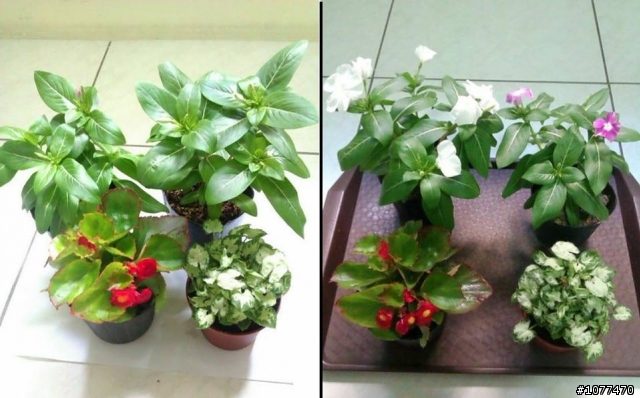 更新於12/17邁向第12年)預算不足夫妻同心油漆&整修17坪的起家厝點滴..