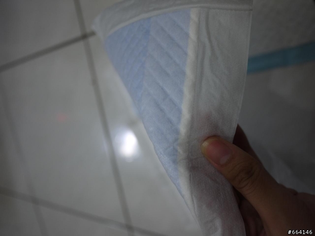 消臭大師超吸收狗尿墊試用心得