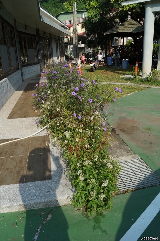 半南橫之旅~個人首發(粗陋見諒