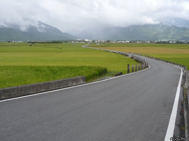 頂客250-伯郎大道+天堂路