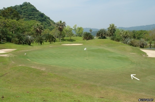 Hole in one .... 了沒有