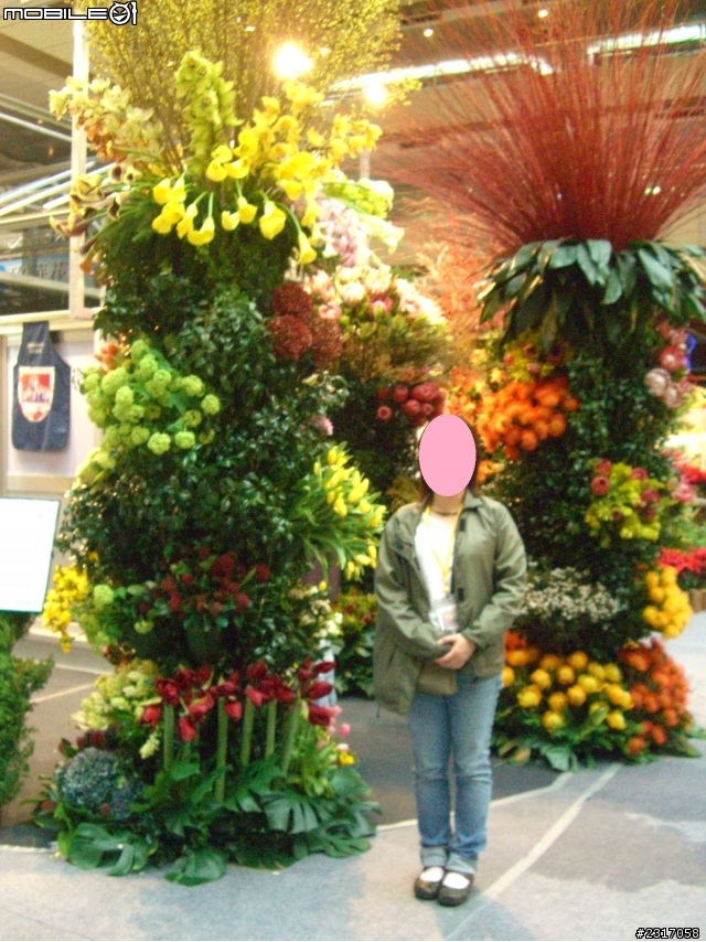 台北國際花卉展-花豔