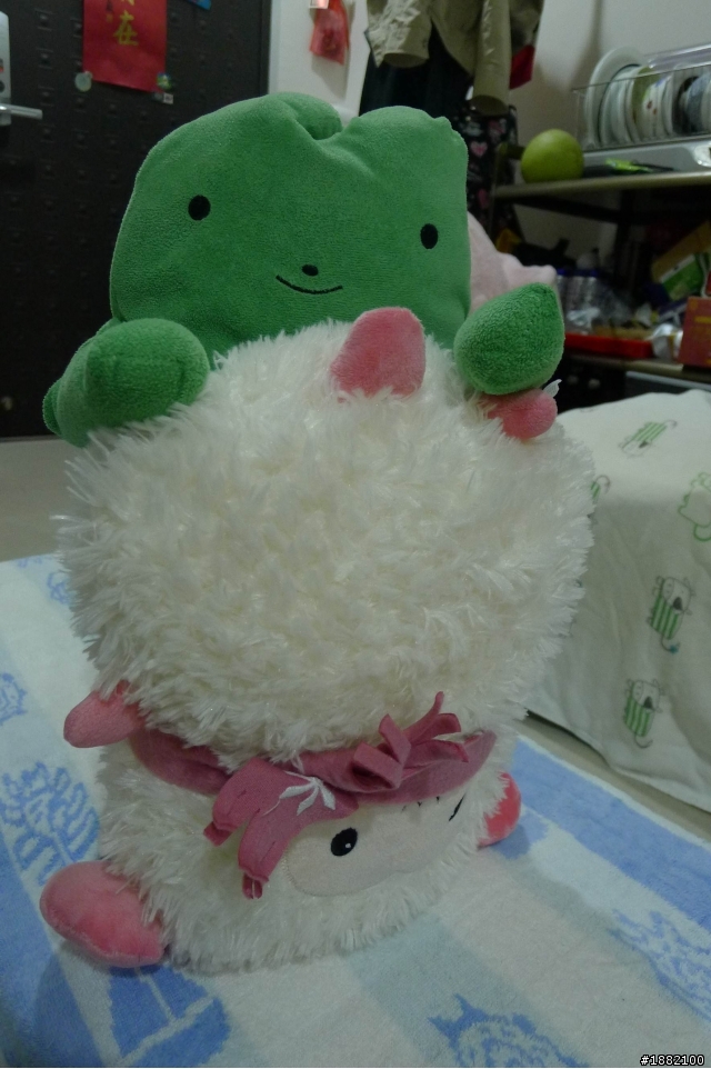 中醫小兔的接生實況--WD 藍標的誕生!!