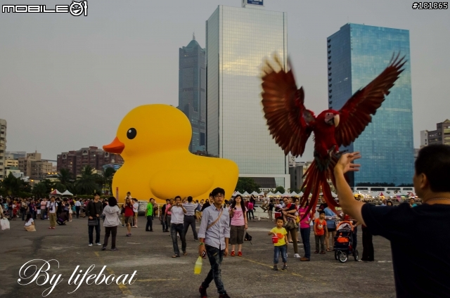 (黃色小鴨蓋大樓)Nikon的各位攝郎，大家一起加油吧~~不要輸C家的!!