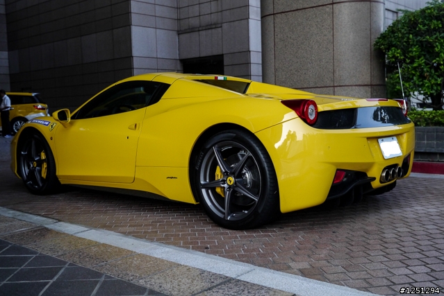 雙十國慶遇到好幾隻馬