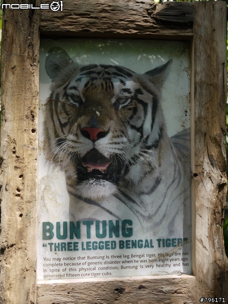 BALI 峇里島慢慢走~Kuta, Ubud Zoo