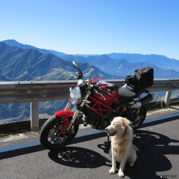 省道一姐小伙伴們，兩隻弱雞武領行、還有一隻大雞雞Ducati。
