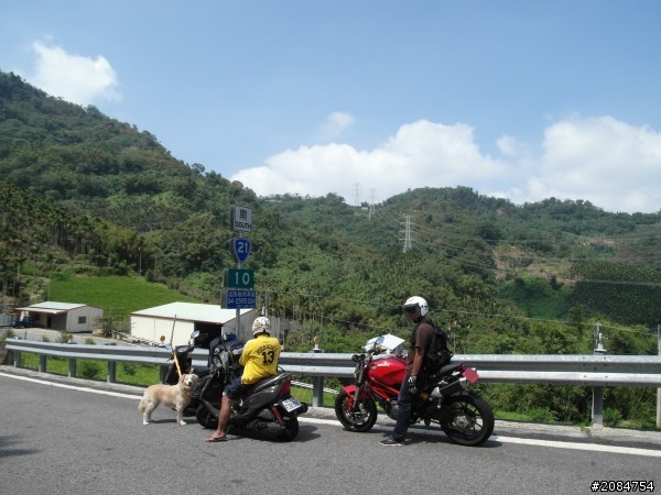 省道一姐小伙伴們，兩隻弱雞武領行、還有一隻大雞雞Ducati。