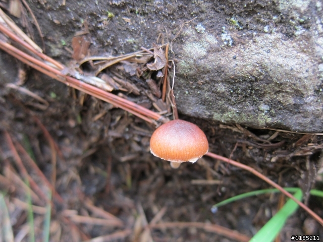 2013年初秋騎新中橫，登東埔山