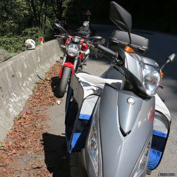 省道一姐小伙伴們，兩隻弱雞武領行、還有一隻大雞雞Ducati。