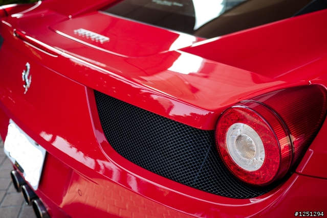 雙十國慶遇到好幾隻馬