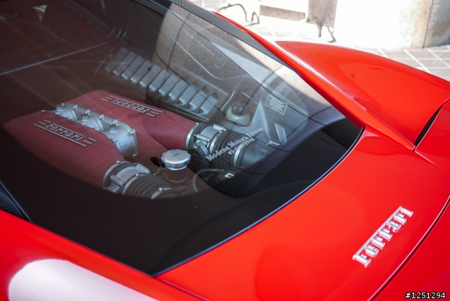 雙十國慶遇到好幾隻馬