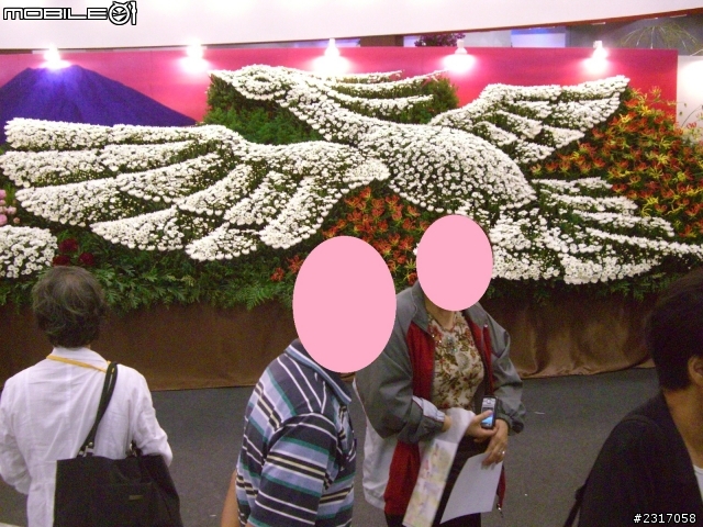 台北國際花卉展-花豔