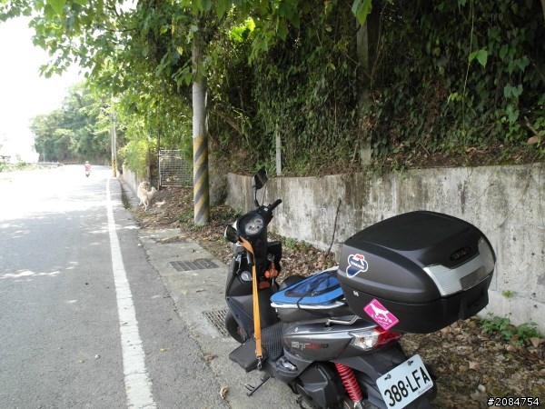 省道一姐小伙伴們，兩隻弱雞武領行、還有一隻大雞雞Ducati。