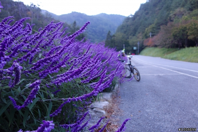 2013 北進武嶺，雙武爭鋒，
