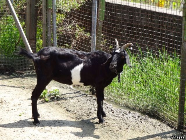 SONY DSC-QX10 拍照實景~蓋樓吧!