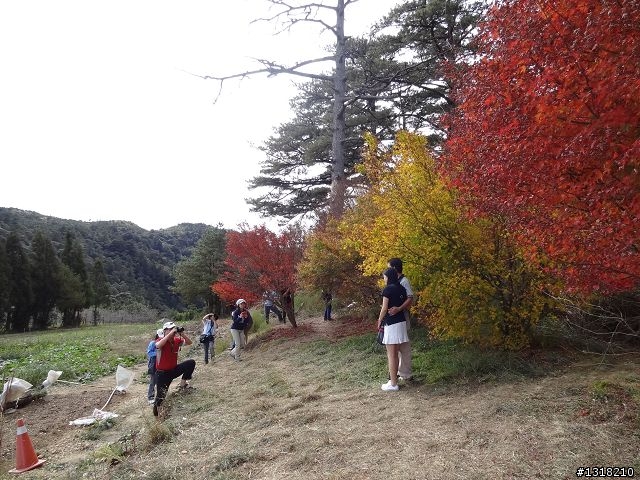 親子旅遊-褔壽山農場 and 合歡溪步道