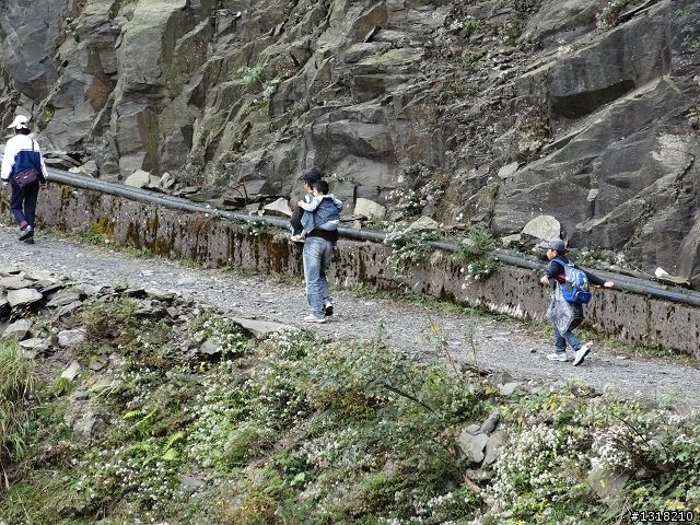 親子旅遊-褔壽山農場 and 合歡溪步道