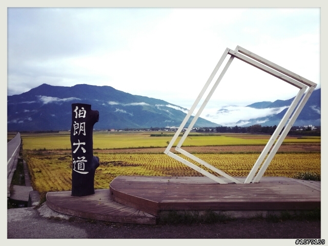 2013.11.12~池上秋收，伯朗大道、天堂路最新照片