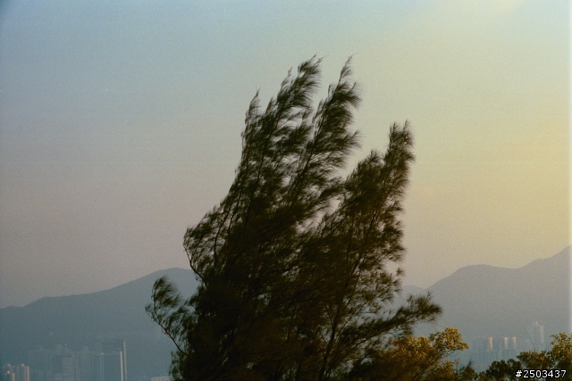 Leica m3 試機圖片