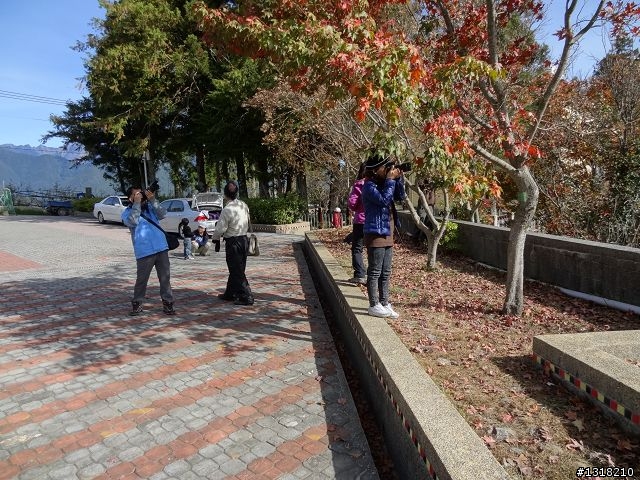 親子旅遊-褔壽山農場 and 合歡溪步道