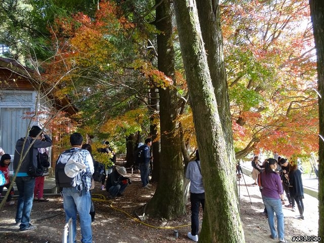 親子旅遊-褔壽山農場 and 合歡溪步道
