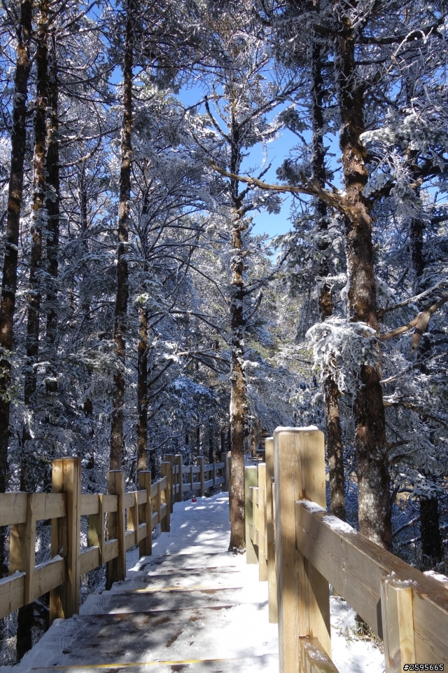 「蜀都騎實」西嶺雪山單線