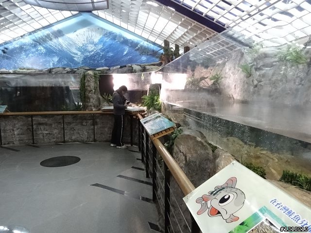 親子旅遊-武陵農場and 桃山瀑布步道