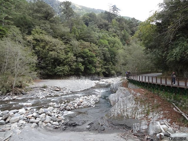 親子旅遊-武陵農場and 桃山瀑布步道