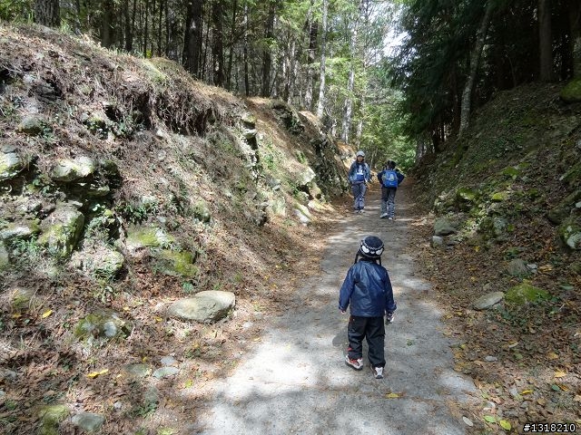 親子旅遊-武陵農場and 桃山瀑布步道