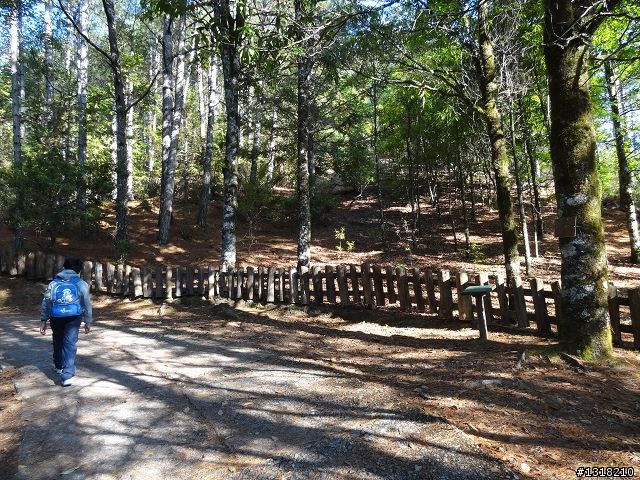 親子旅遊-武陵農場and 桃山瀑布步道
