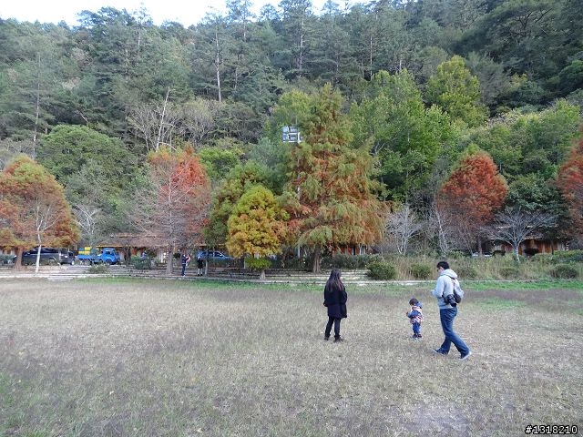 親子旅遊-武陵農場and 桃山瀑布步道