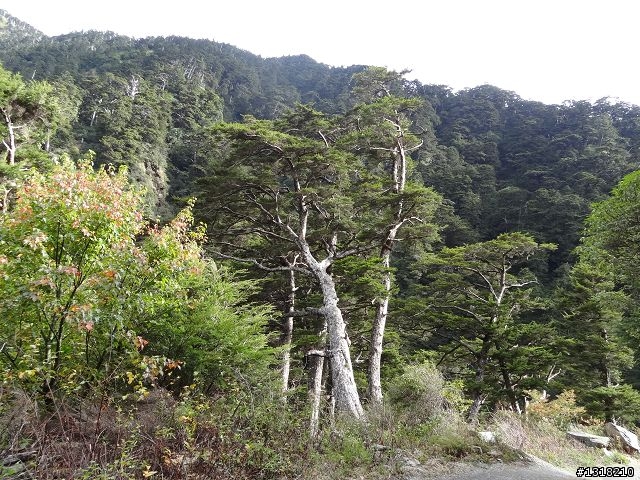 親子旅遊-褔壽山農場 and 合歡溪步道