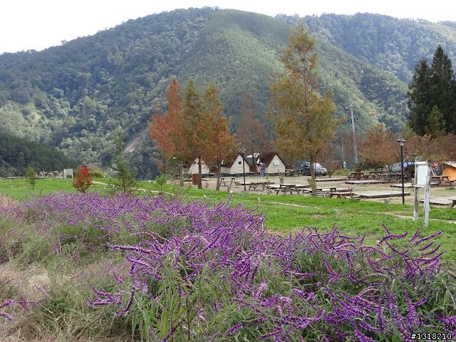 親子旅遊-武陵農場and 桃山瀑布步道