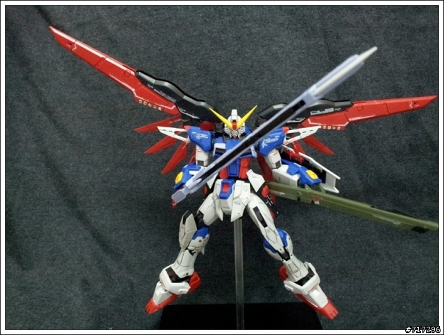素組 RG ZGMF-X42S DESTINY 命運鋼彈