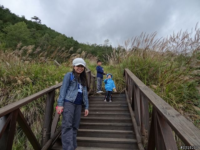 親子旅遊-武陵農場and 桃山瀑布步道