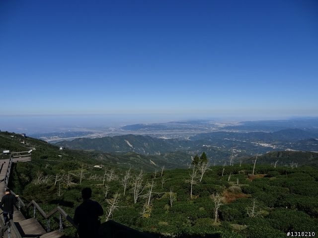 親子旅遊-竹山瞎晃