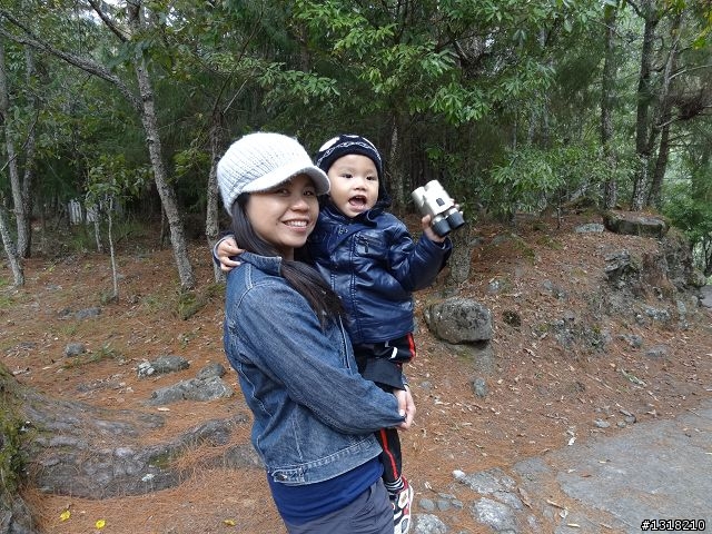 親子旅遊-武陵農場and 桃山瀑布步道