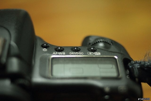 這隻豬~~它九歲了