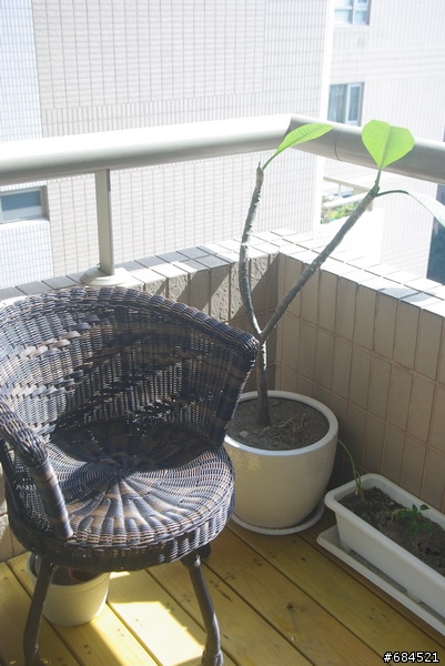 「開箱」率性自然的簡單裝潢小宅