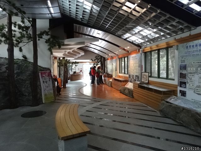 親子旅遊-武陵農場and 桃山瀑布步道
