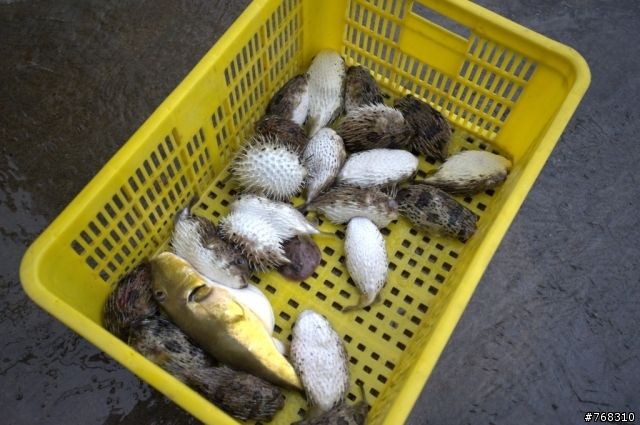 跟小肥一起去露營囉!!