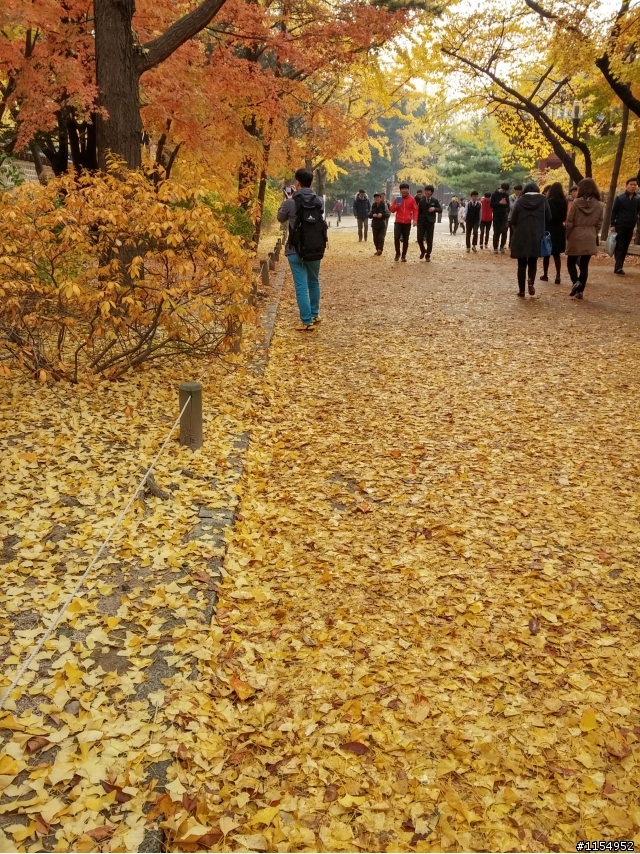 韓國秋天也很美