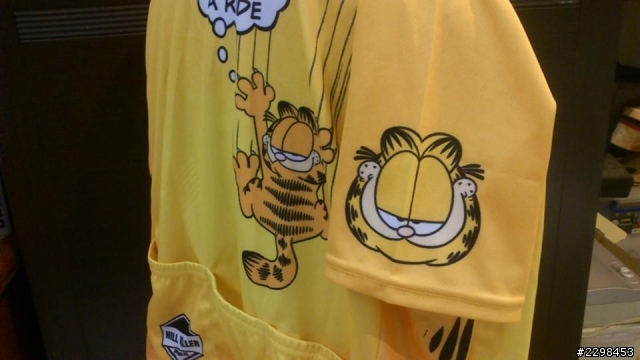 加菲貓(garfield)車衣開箱