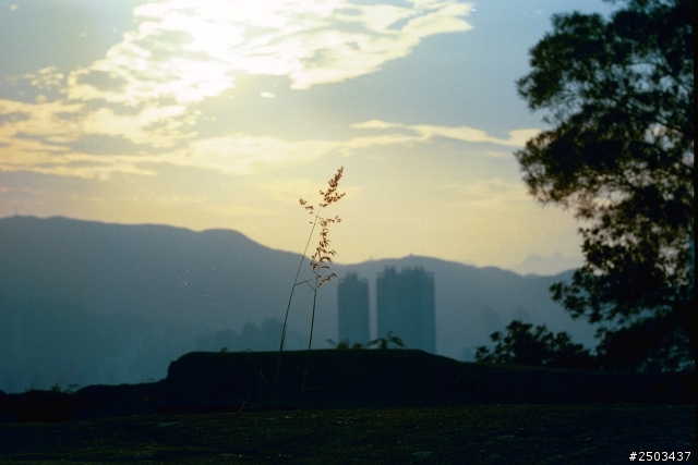 Leica m3 試機圖片