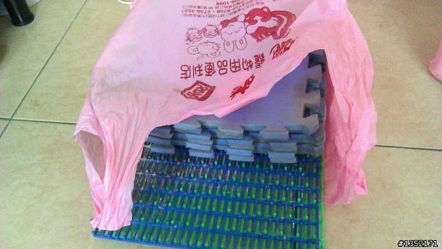 兔子用品和飼料免費贈送(近樹林，板橋)