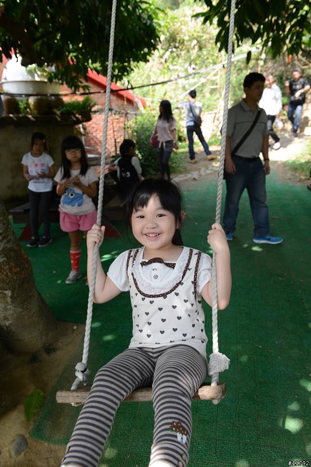 柿子熟了，遊客來了～